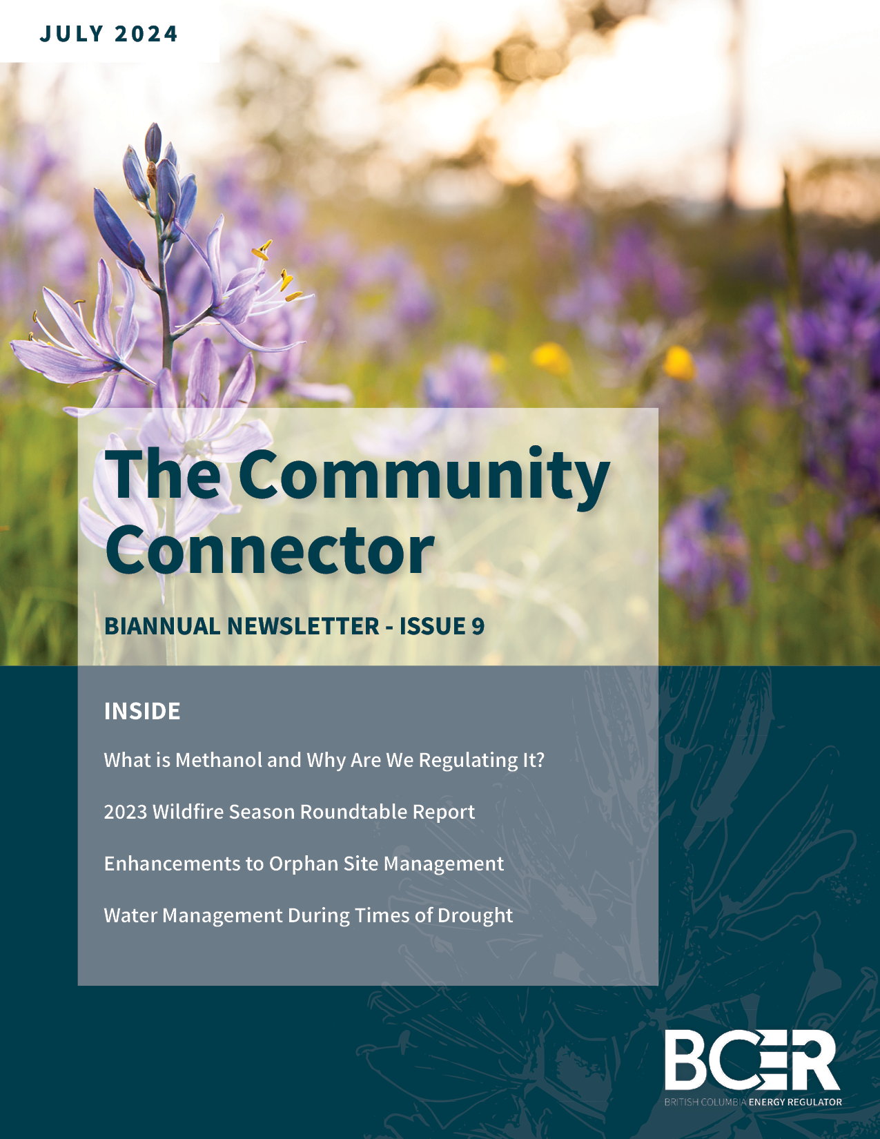 Read our latest Community Connector newsletter!